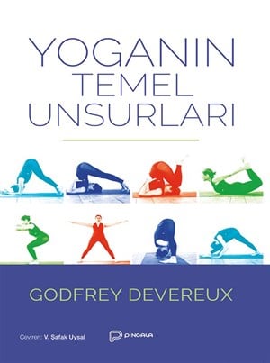 Yoganın Temel Unsurları