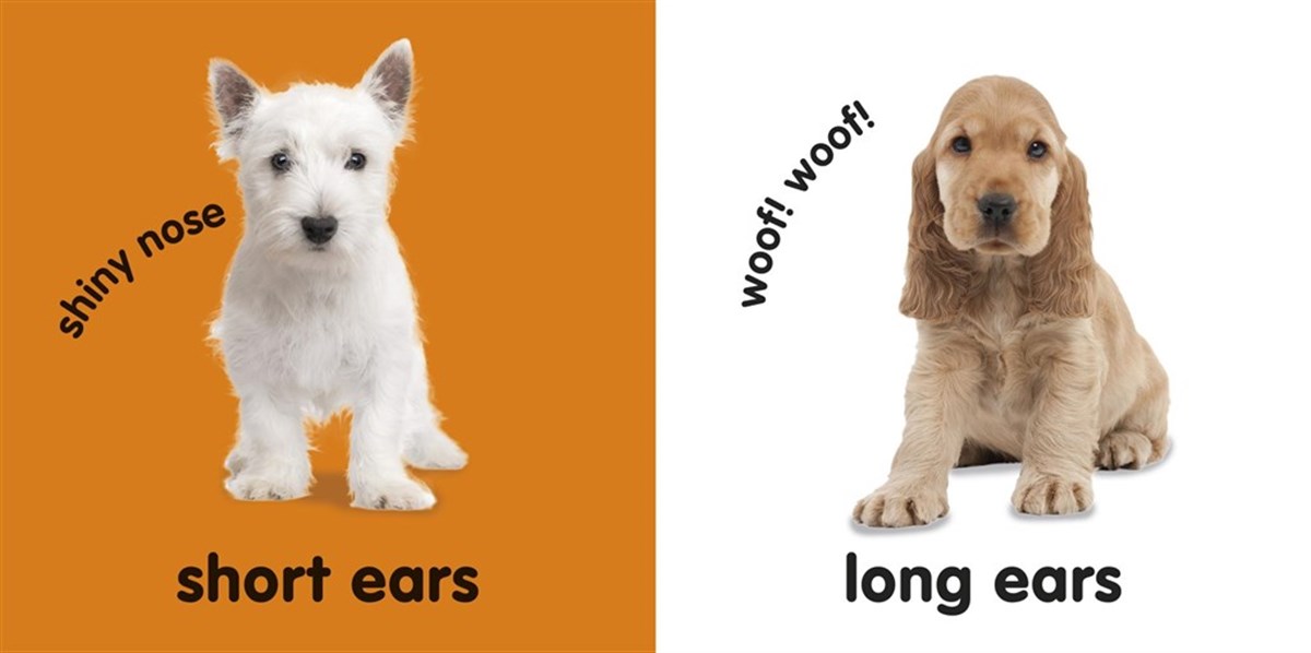 Baby Touch and Feel Puppies