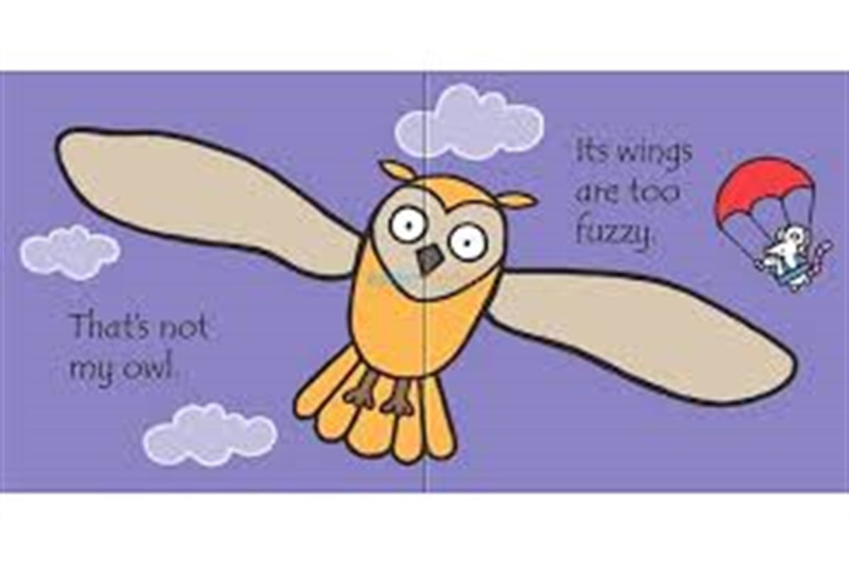 Usborne Thats Not My Owl