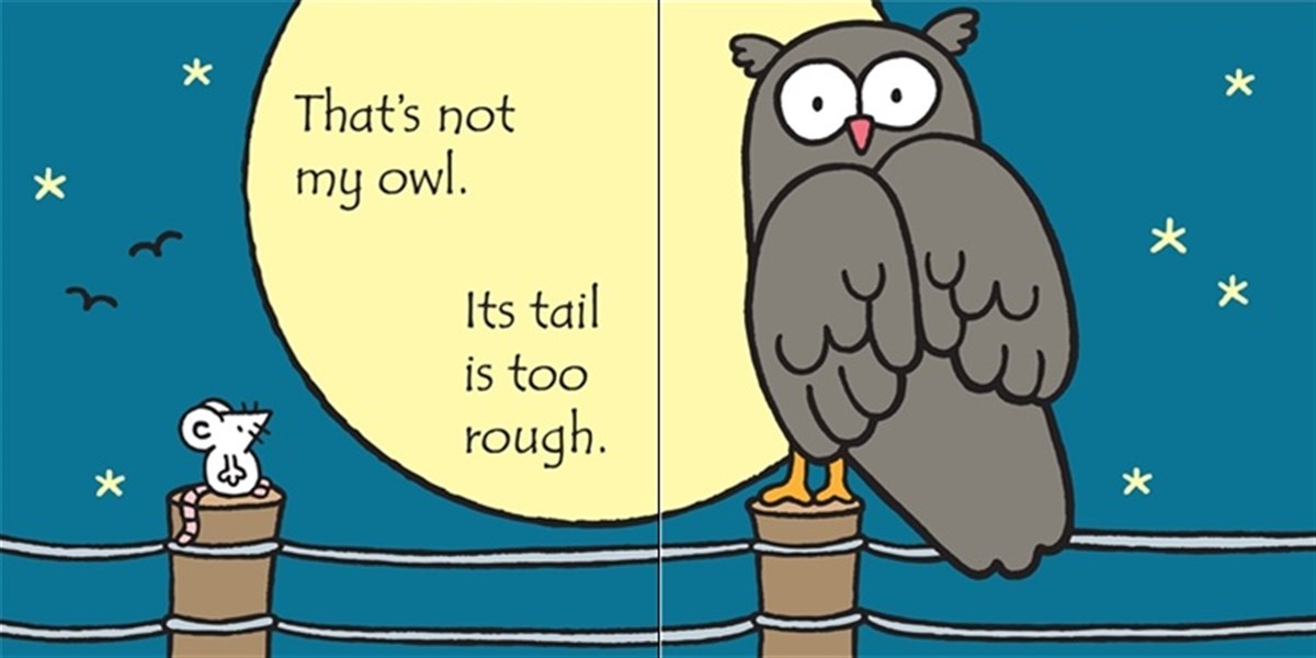 Usborne Thats Not My Owl