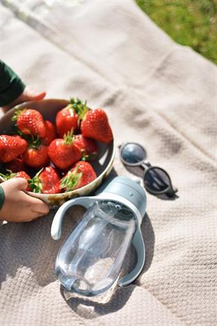 300 ml Şeffaf Pipetli Suluk Mineral Grey