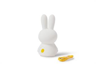 Aydınlatma, Miffy Shines
