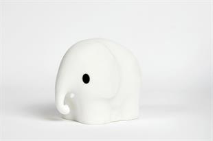 Elephant Lamba First Light