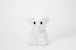 Mira Lamba First Light