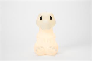 Rena Lamba First Light