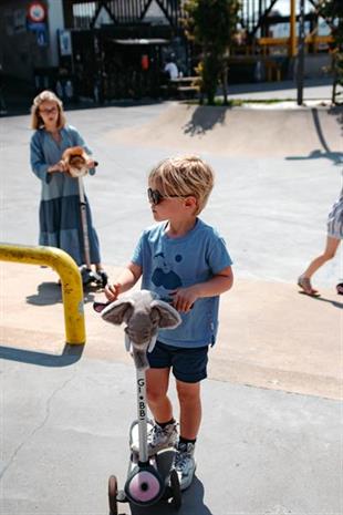 Scooter Aksesuarı, Fil