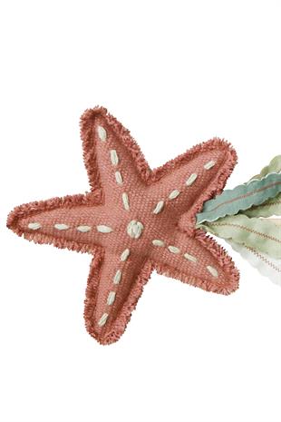 Sihirli Değnek, Starfish