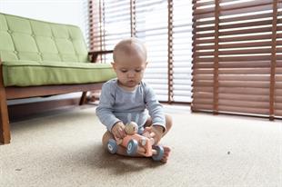 Tavşan Yarış Arabası