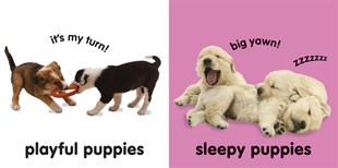 Baby Touch and Feel Puppies