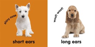Baby Touch and Feel Puppies