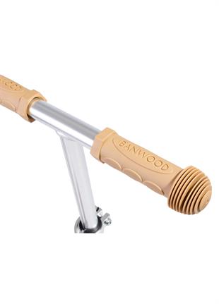 Banwood Vintage Scooter | Mint