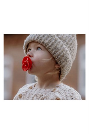 Bibs Emzik Candy Apple ( 6-18 Ay )