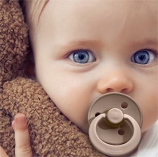 Bibs Emzik Dark Oak ( 0 - 6 Ay )