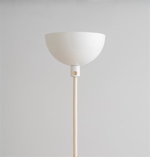 Carina Lamba (Pembe)