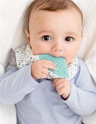 CHEEKY CHOMPERS Önlük- Müslin Pear Drop Neckerchew