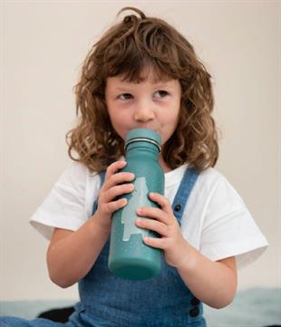 Trixie Paslanmaz Çelik Suluk 500 ml | Mr. Hippo