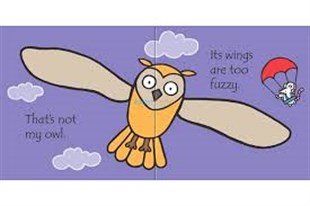 Usborne Thats Not My Owl