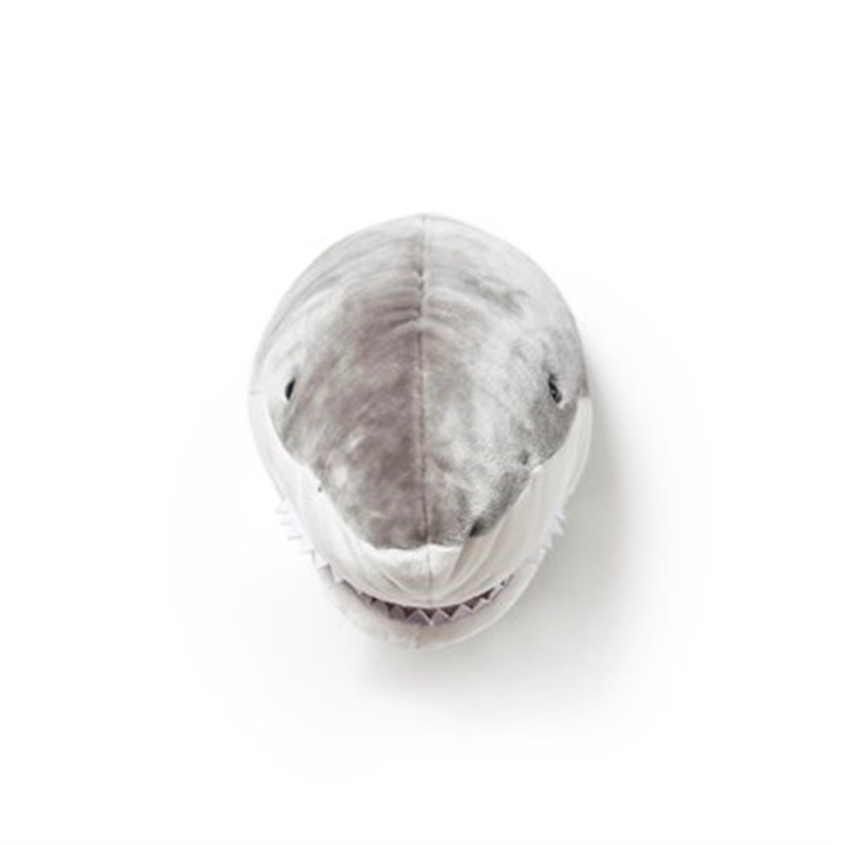 Kopek Balığı 'Jack'