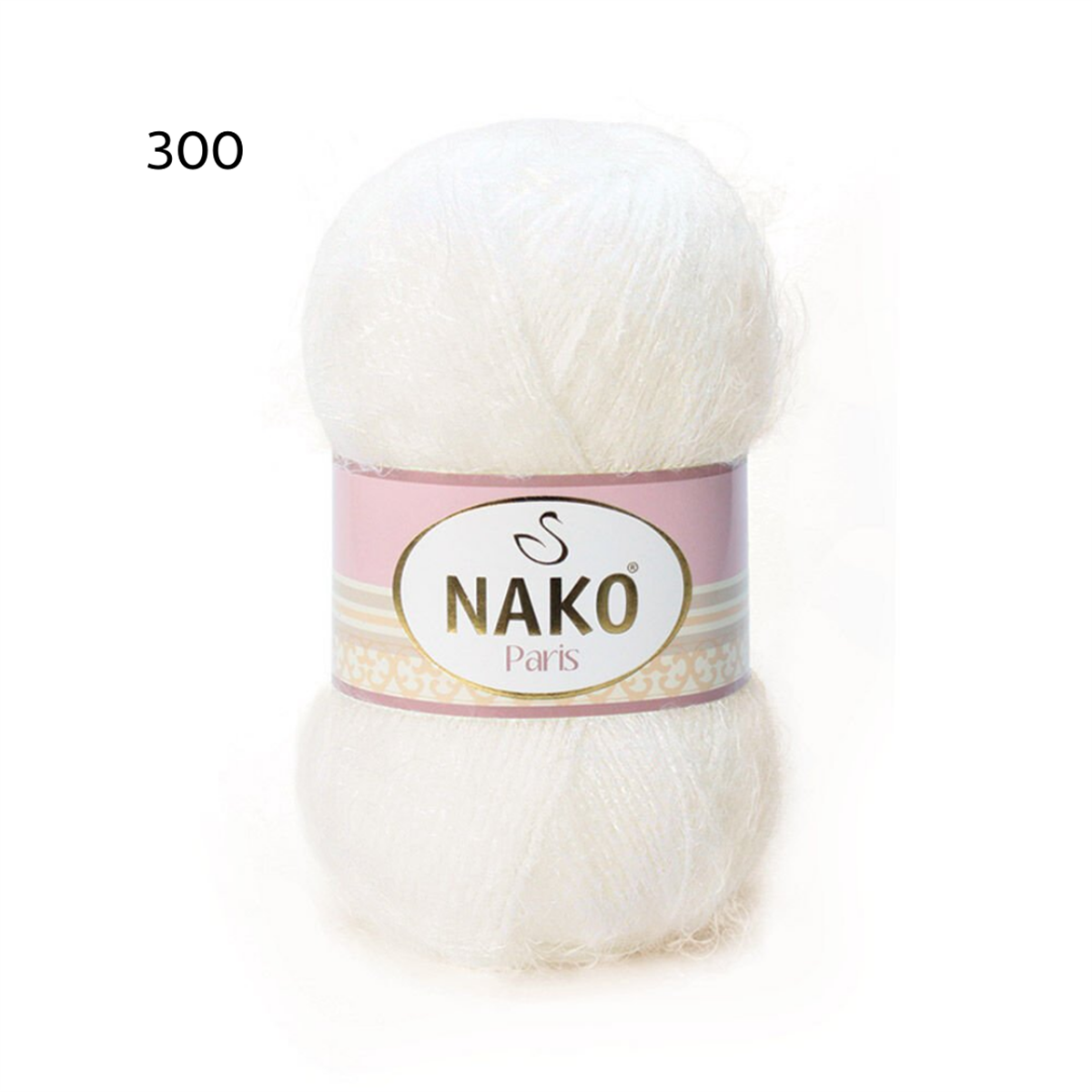 NAKO300