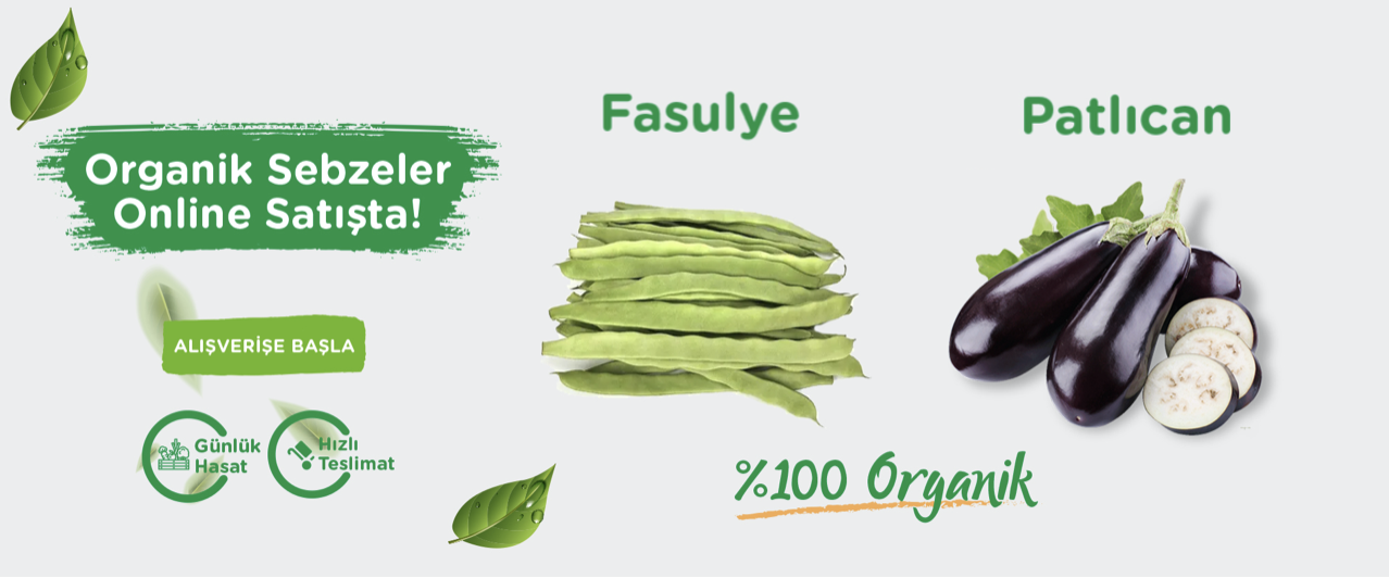 organik ürün banner