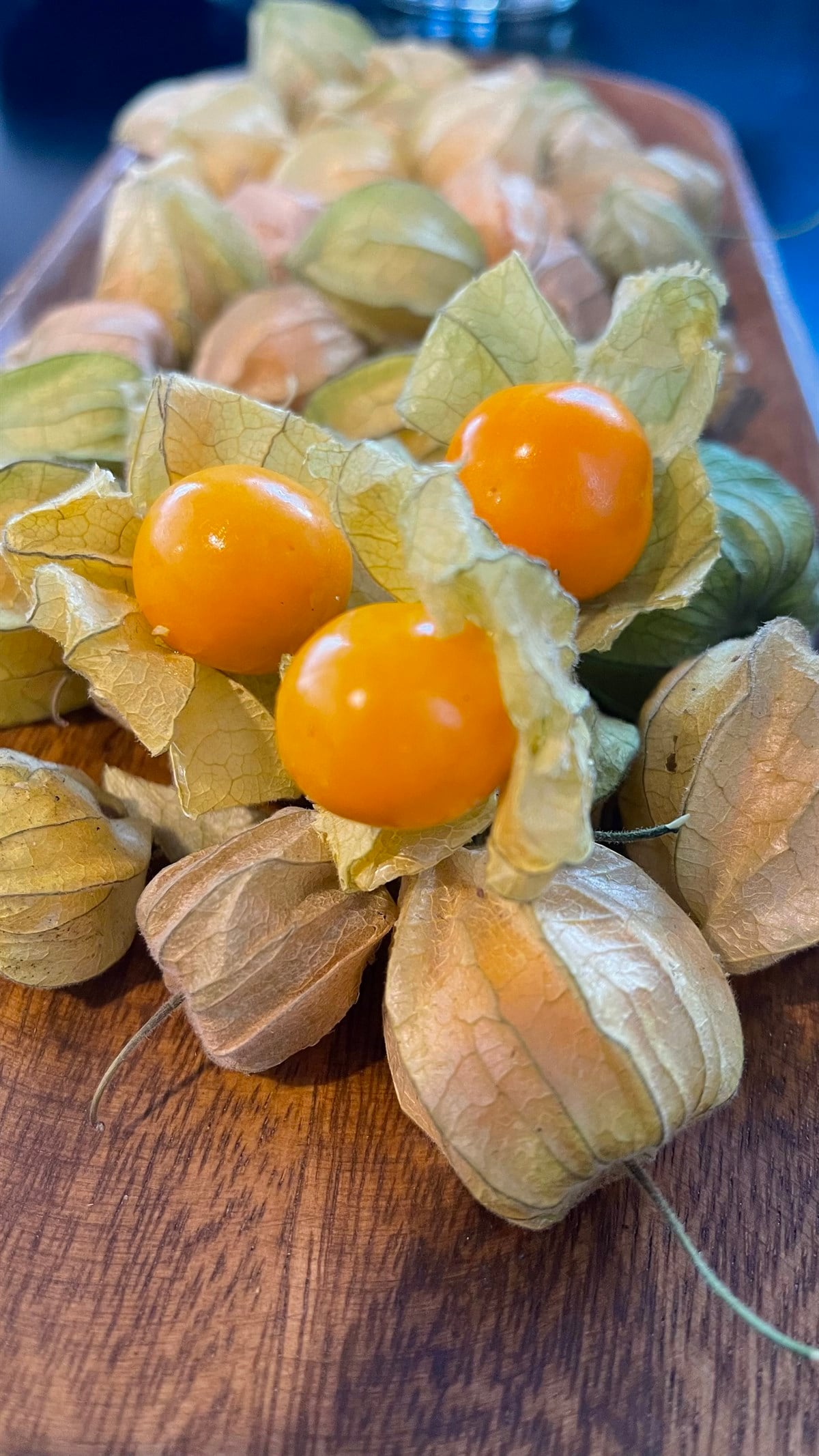 Altın Çilek - 100 gram