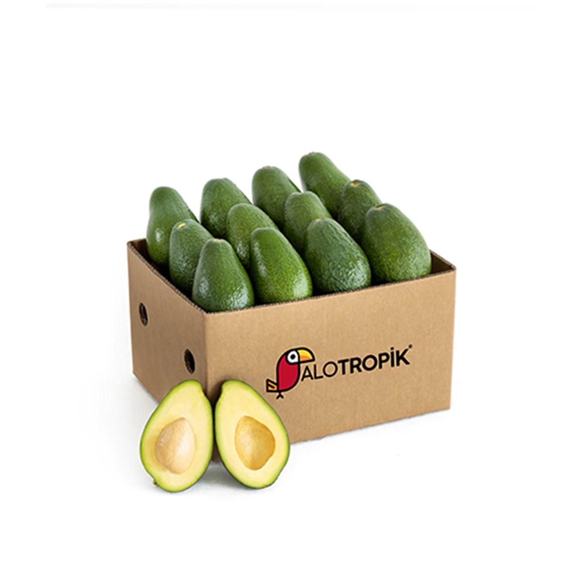 Avokado 12 Adet 150gr - 220gr