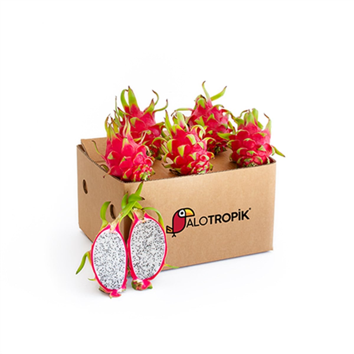 Ejder Meyvesi (Pitaya) 5 Adet (200gr-300gr-arasi)