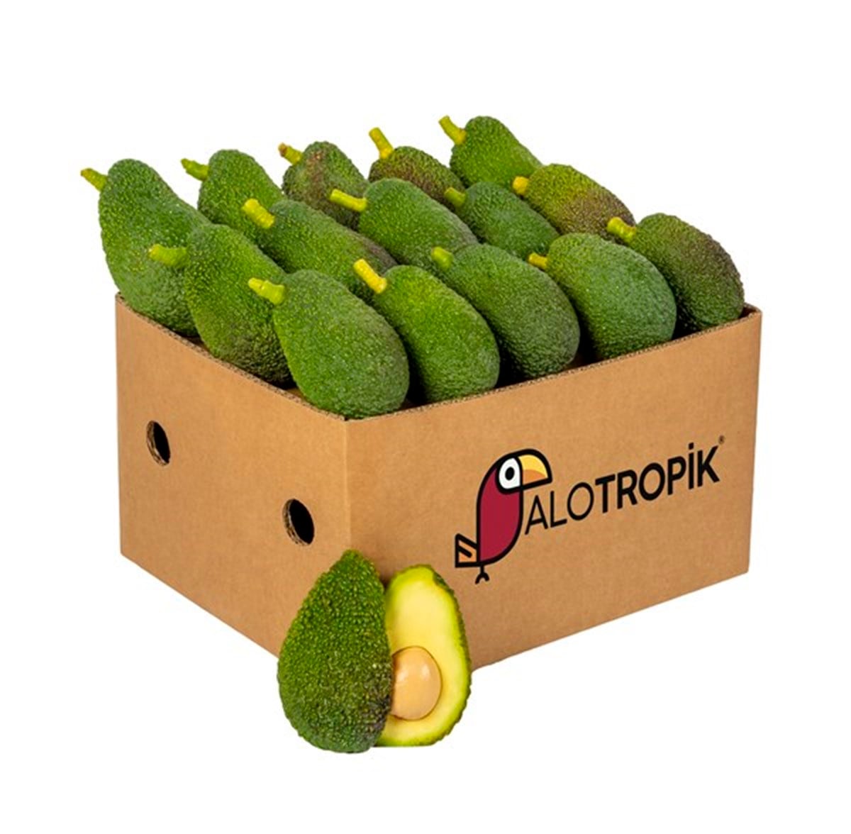 Hass Avokado 1 Kg