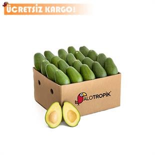Avokado 20 Adet 200gr - 250gr Arası