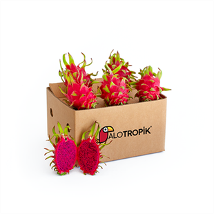 Ejder Meyvesi (Pitaya) 5 adet 300 gr üzeri