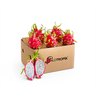 Ejder Meyvesi (Pitaya) 5 Adet (200gr-300gr-arasi)