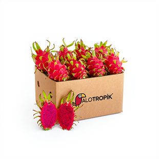 Ejder Meyvesi (Pitaya) 8 Adet 300gr üstü