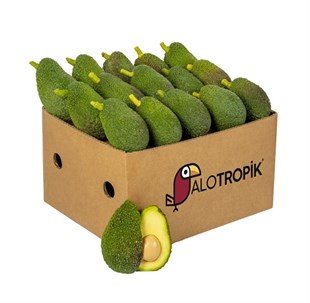 Hass Avokado 1 Kg