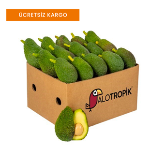 Hass Avokado 40 Adet