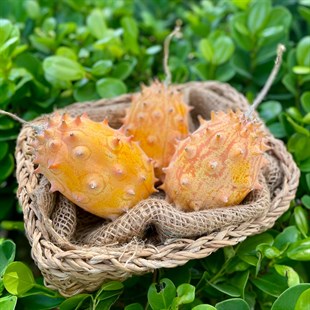 Kiwano 5 Adet