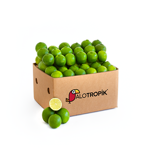 Lime Limon 5 Kg