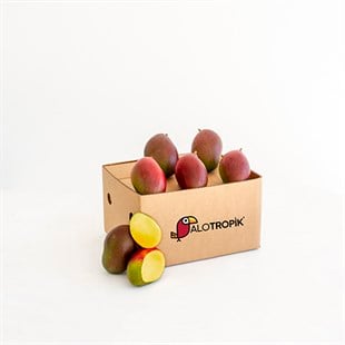 Mango 12 Adet 200gr - 400gr