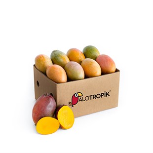 Mango 8 Adet 200gr - 400gr
