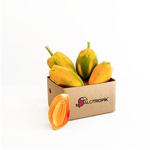 Papaya 4 Adet 600gr üzeri