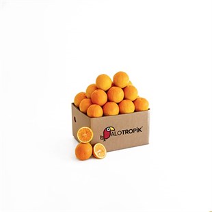 Portakal Sıkmalık 12 Kg