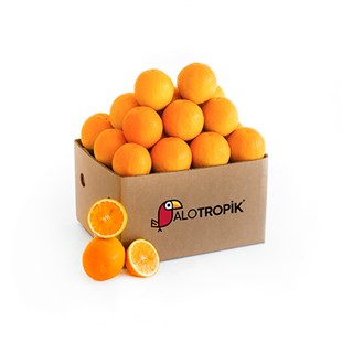 Portakal Yemelik 8 Kg