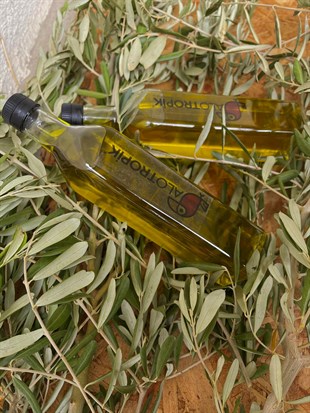Zeytin Yağı 500 ml