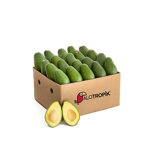 Avokado 100 Adet 200 Gr - 300 Gr Arası
