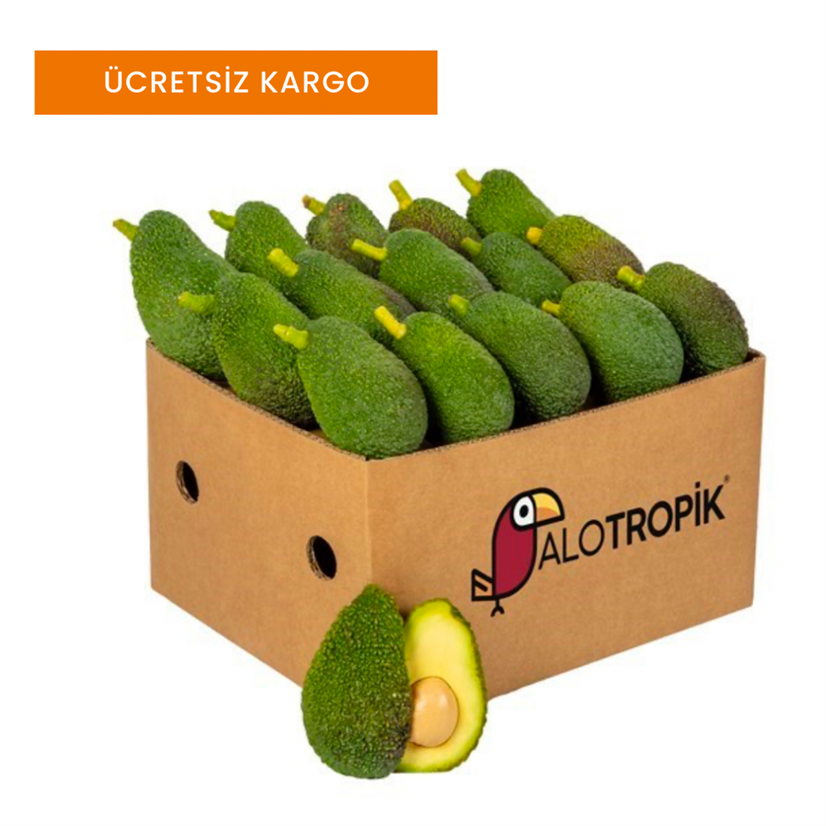 Hass Avokado 40 Adet