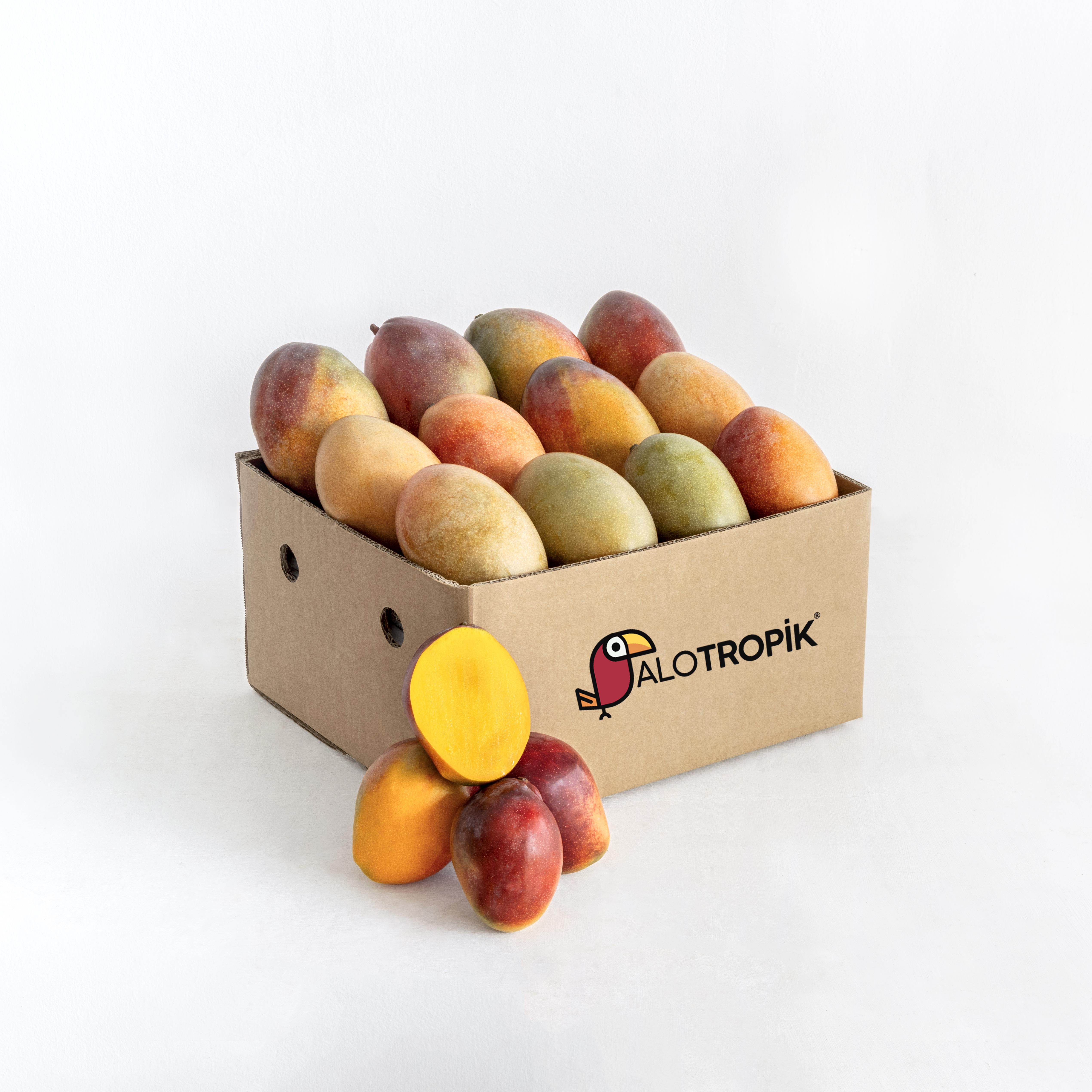 Mango 12 Adet 400gr üzeri