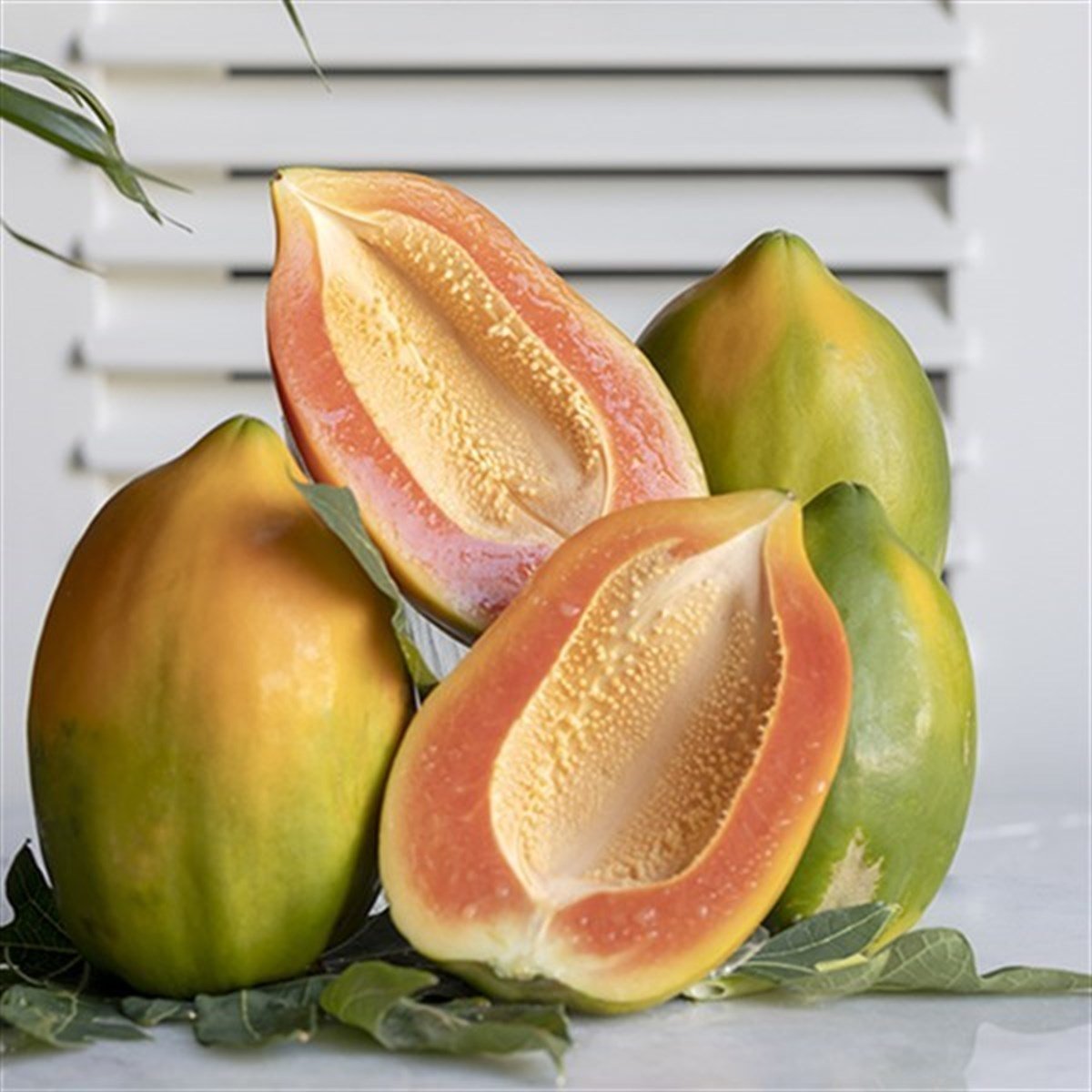 Papaya 400gr - 700gr 1 Adet