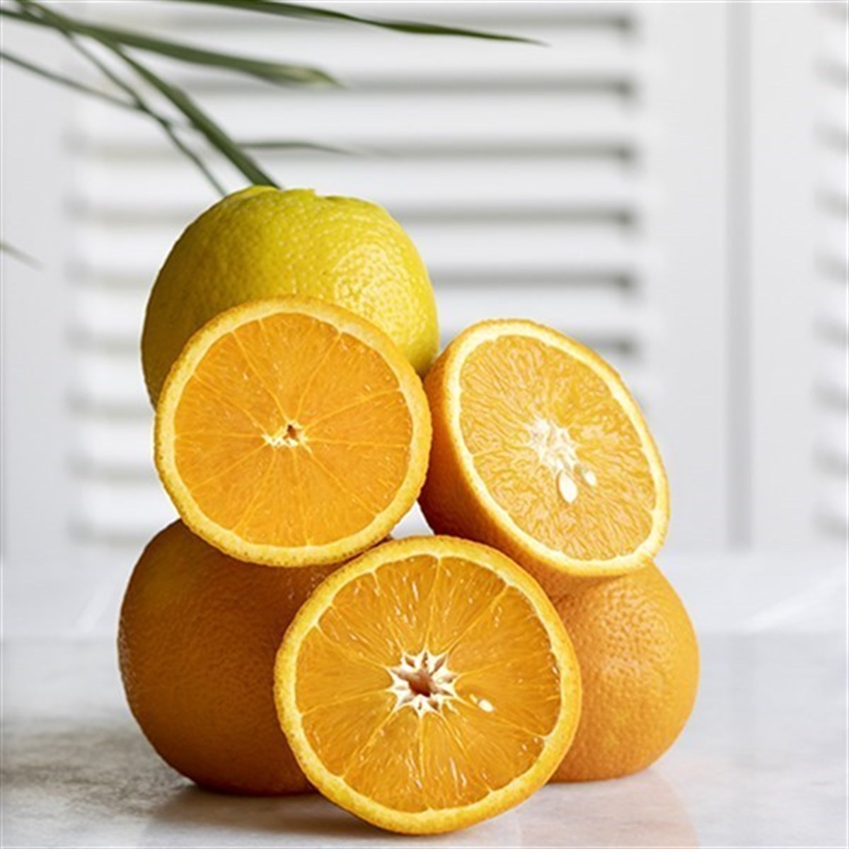 Portakal Yemelik 1Kg