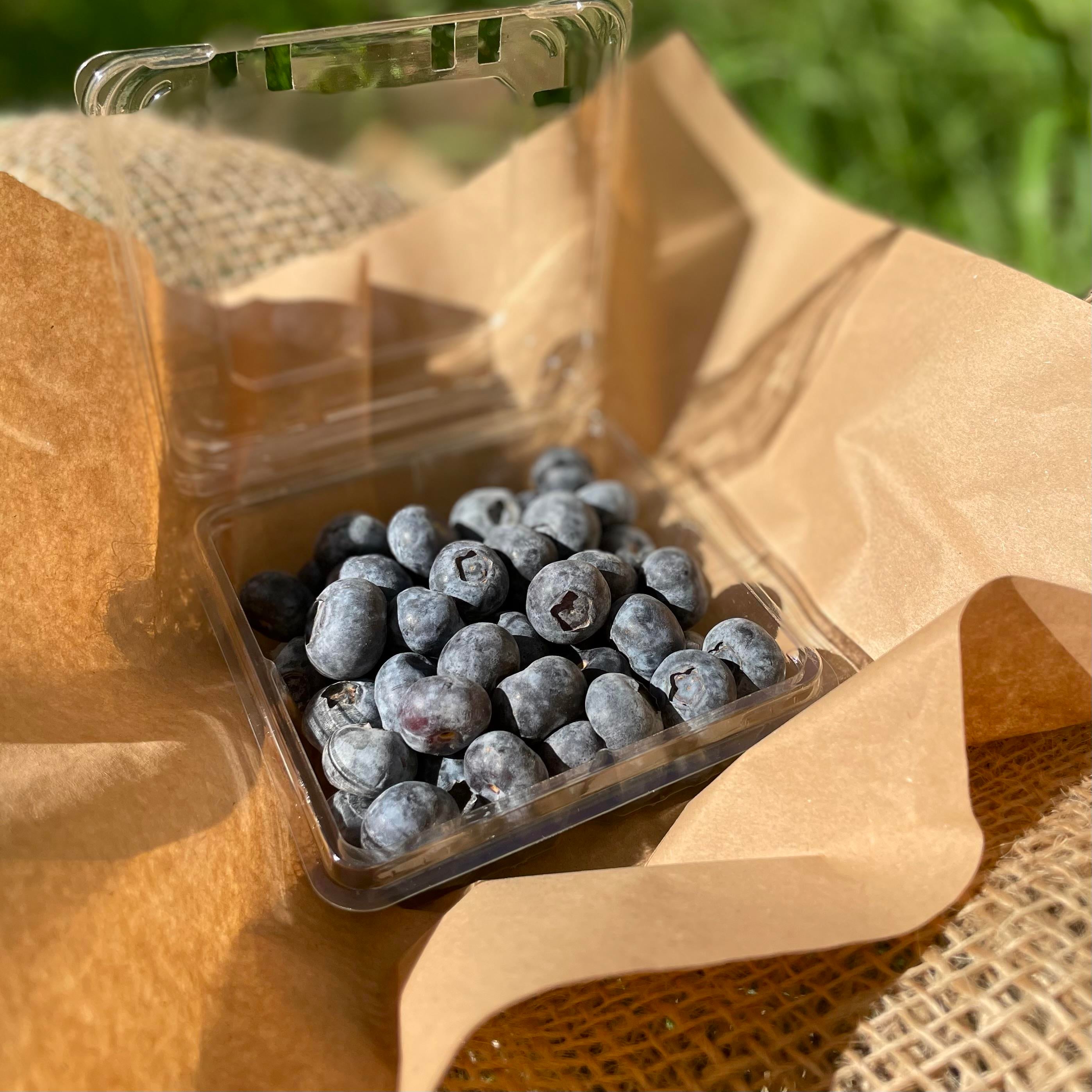 Yaban Mersini (Blueberry) 125 gr