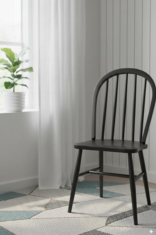 Woodenbend Milena Siyah Kayın Ağacı Sandalye 2li Set – Mat Lake İskandinav Modern Tasarım