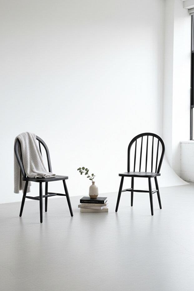 Woodenbend Milena Siyah Kayın Ağacı Sandalye 2li Set – Mat Lake İskandinav Modern Tasarım